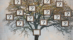 Tree-Question-Marks-Book