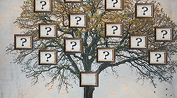 Tree-Question-Marks-Book Tree-Question-Marks-Book