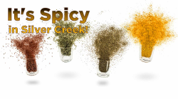 Spicy-Silver-Creek