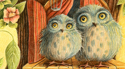 Two-Owls